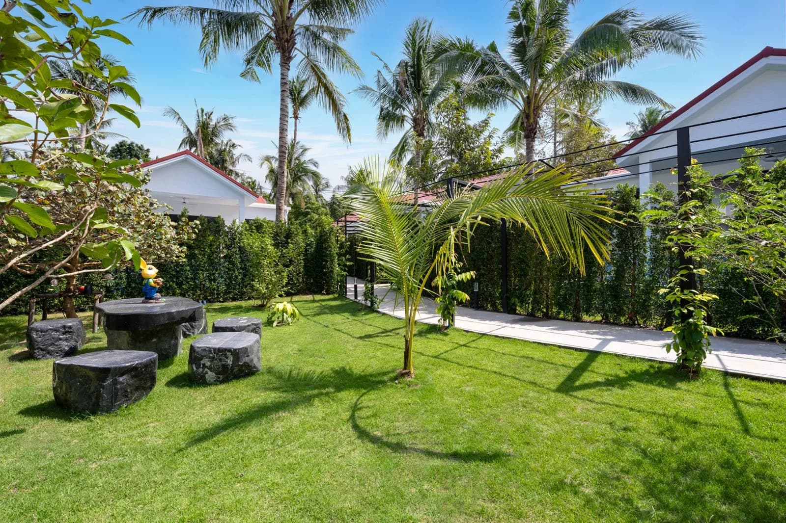 Garden lawn and tropical palms