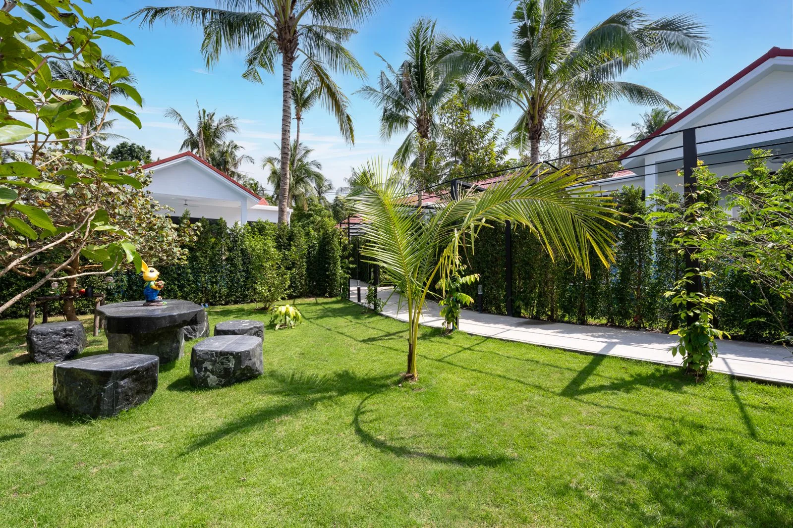 Garden lawn and tropical palms
